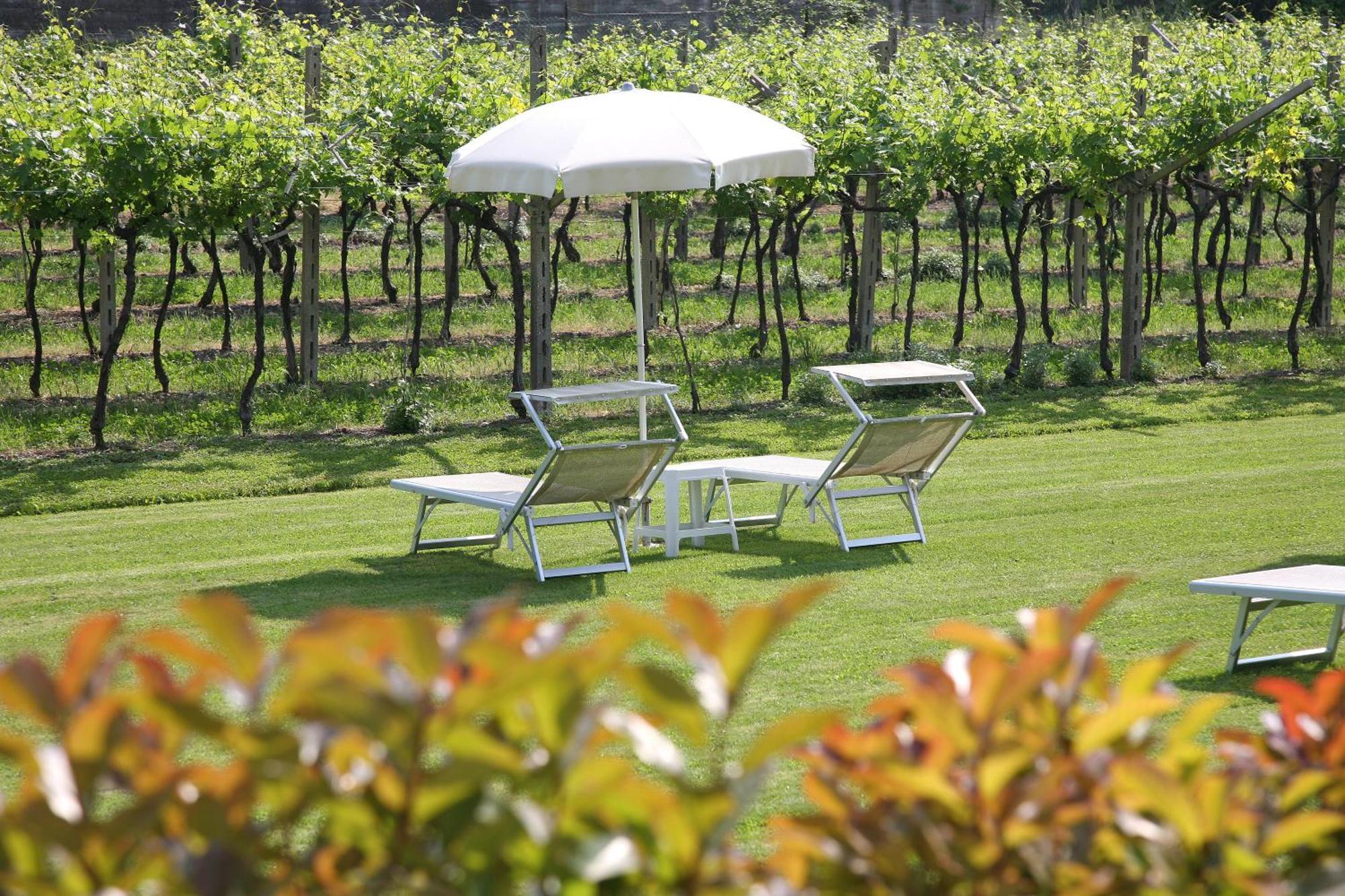 La Zerla Bed & Breakfast Bardolino Exterior photo